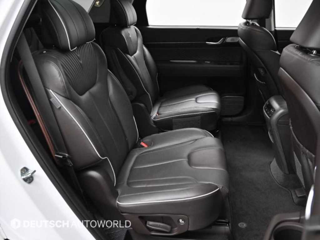 HYUNDAI Palisade - Vista 12