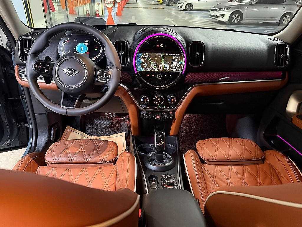 Mini Countryman - Vista 6