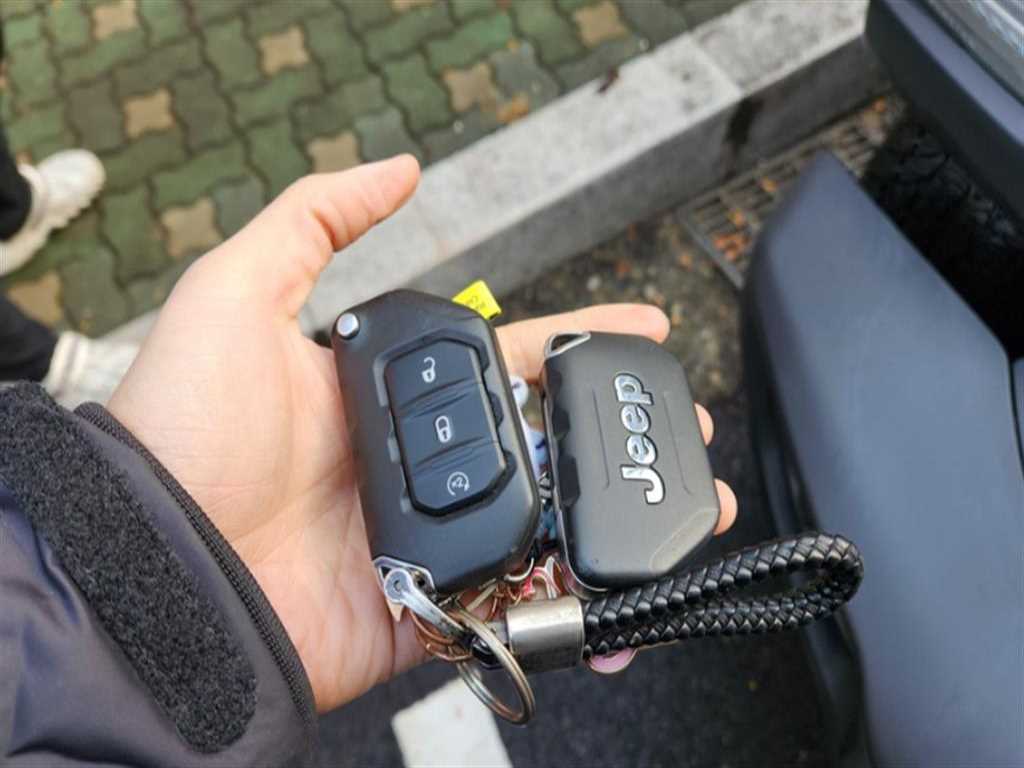 Jeep Wrangler - Vista 9