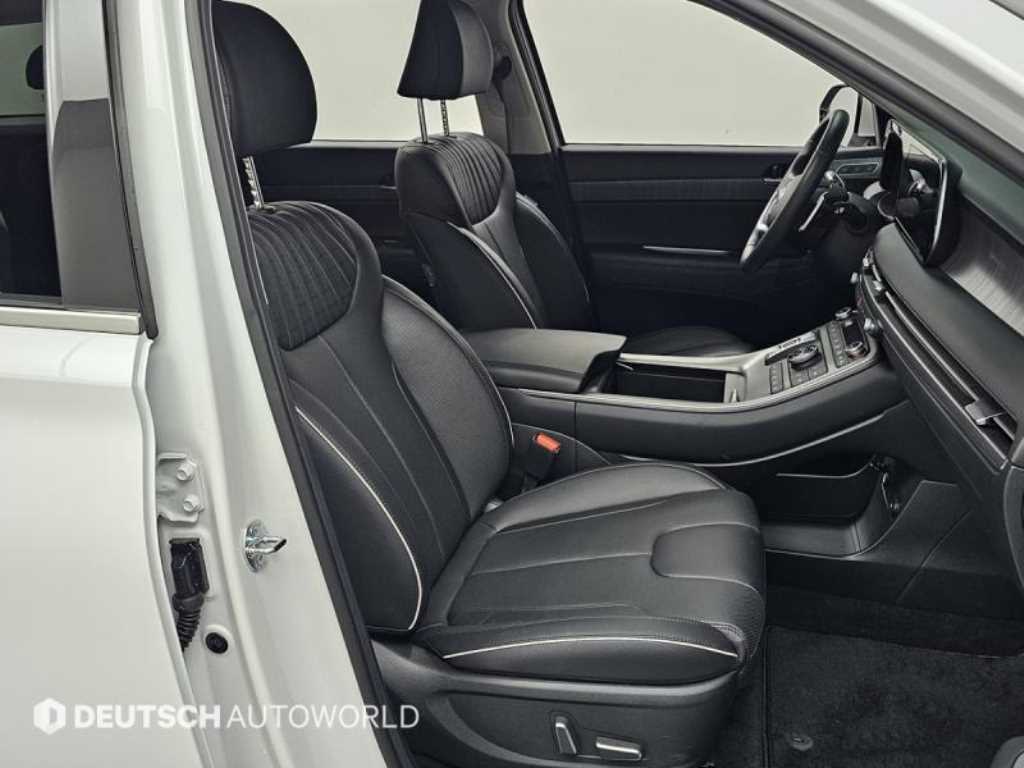 HYUNDAI Palisade - Vista 10