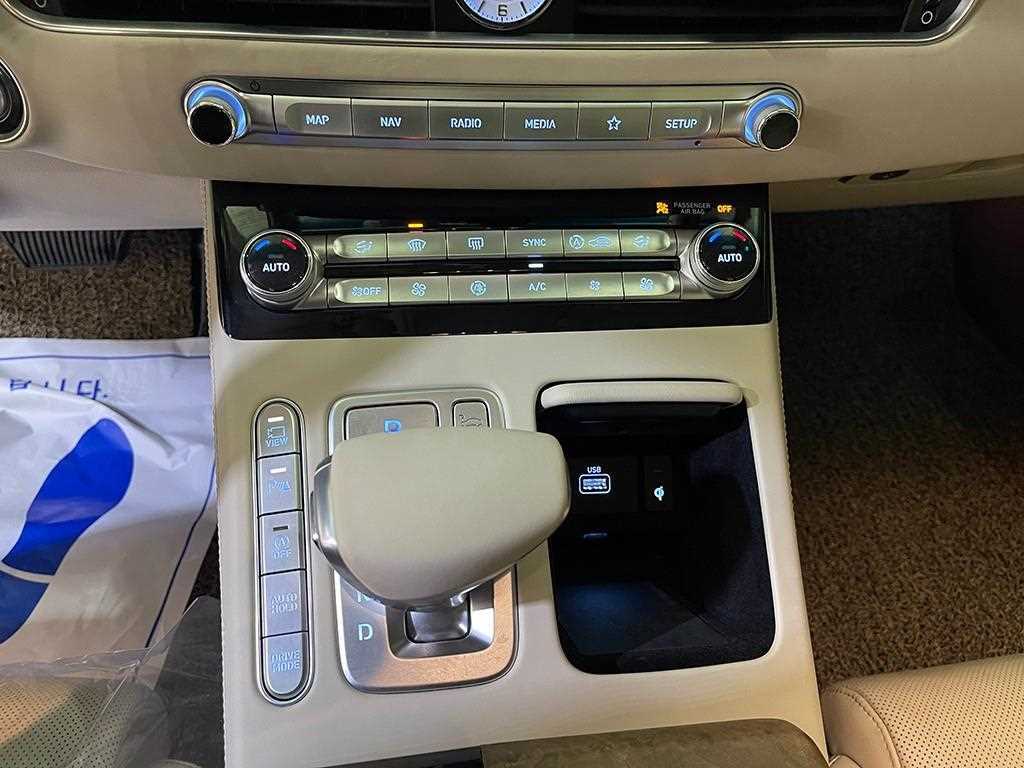 Genesis G90 - Vista 11