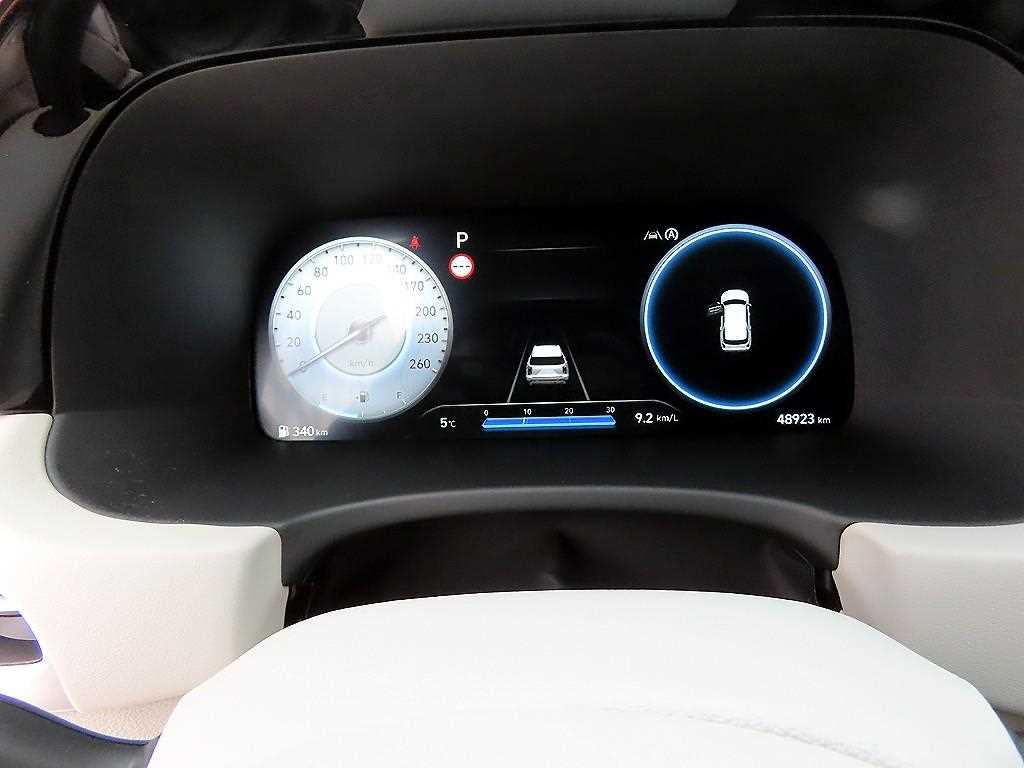 HYUNDAI Palisade - Vista 10