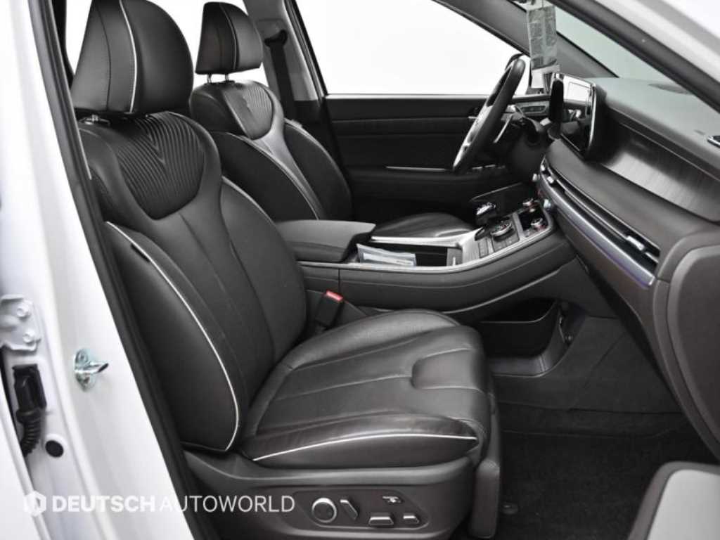 HYUNDAI Palisade - Vista 10