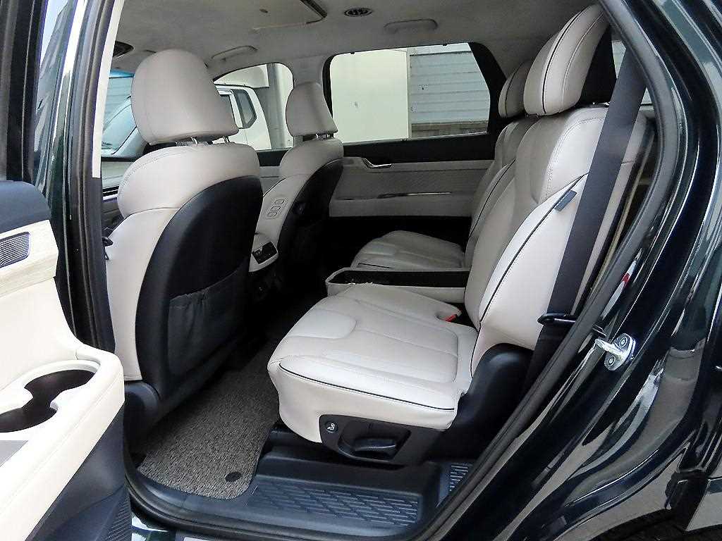 HYUNDAI Palisade - Vista 6