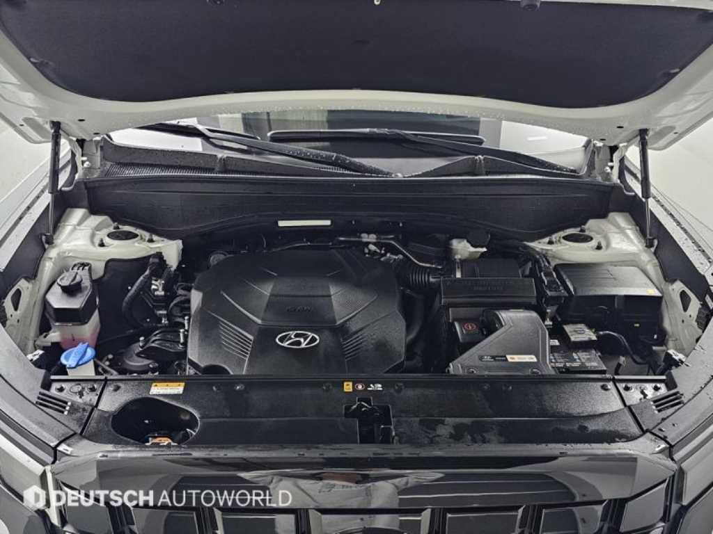 HYUNDAI Palisade - Vista 6