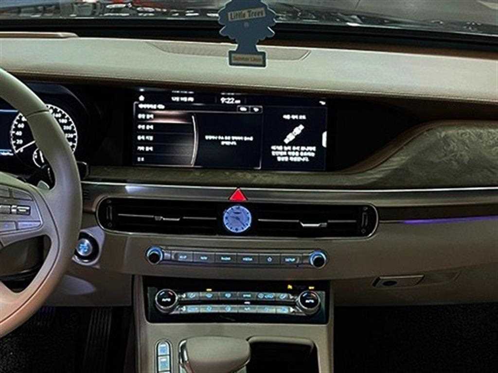 Genesis G90 - Vista 10