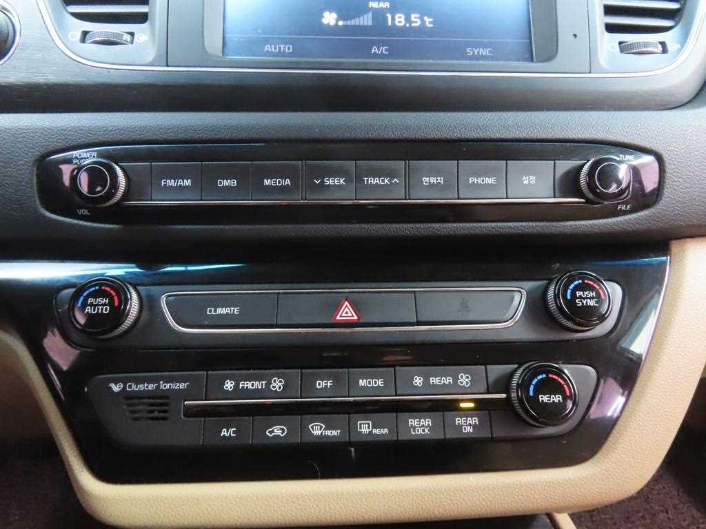 KIA Carnival - Vista 11