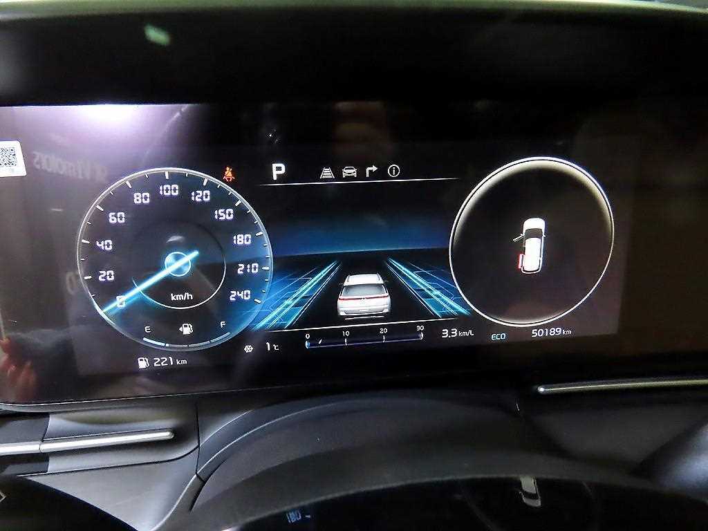 KIA Carnival - Vista 9