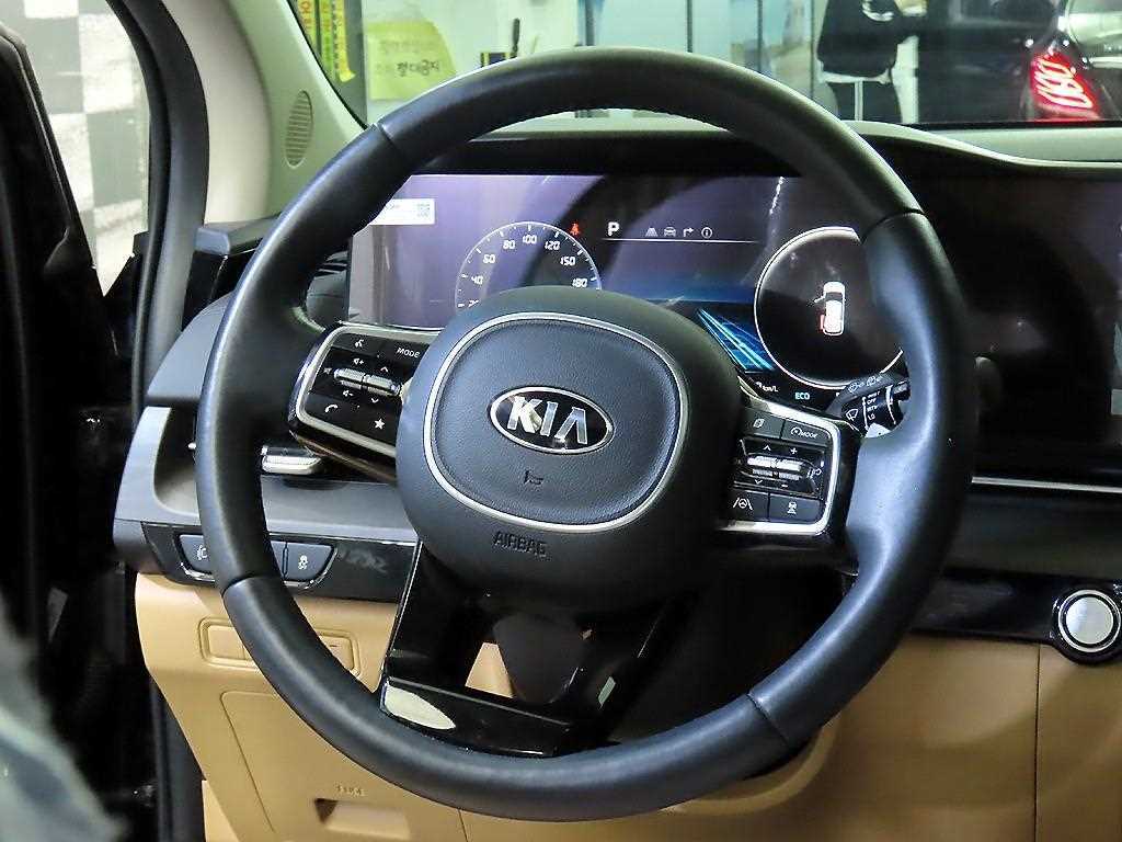 KIA Carnival - Vista 8