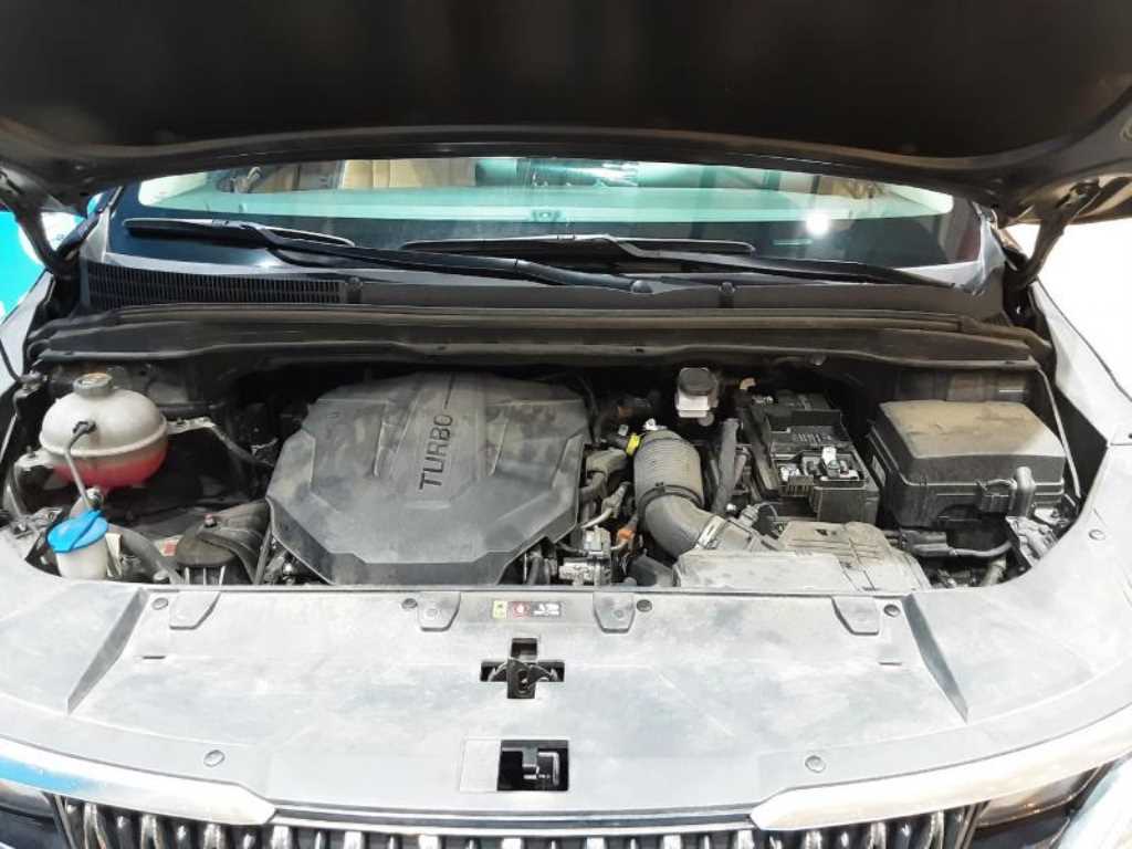 KIA Carnival - Vista 6