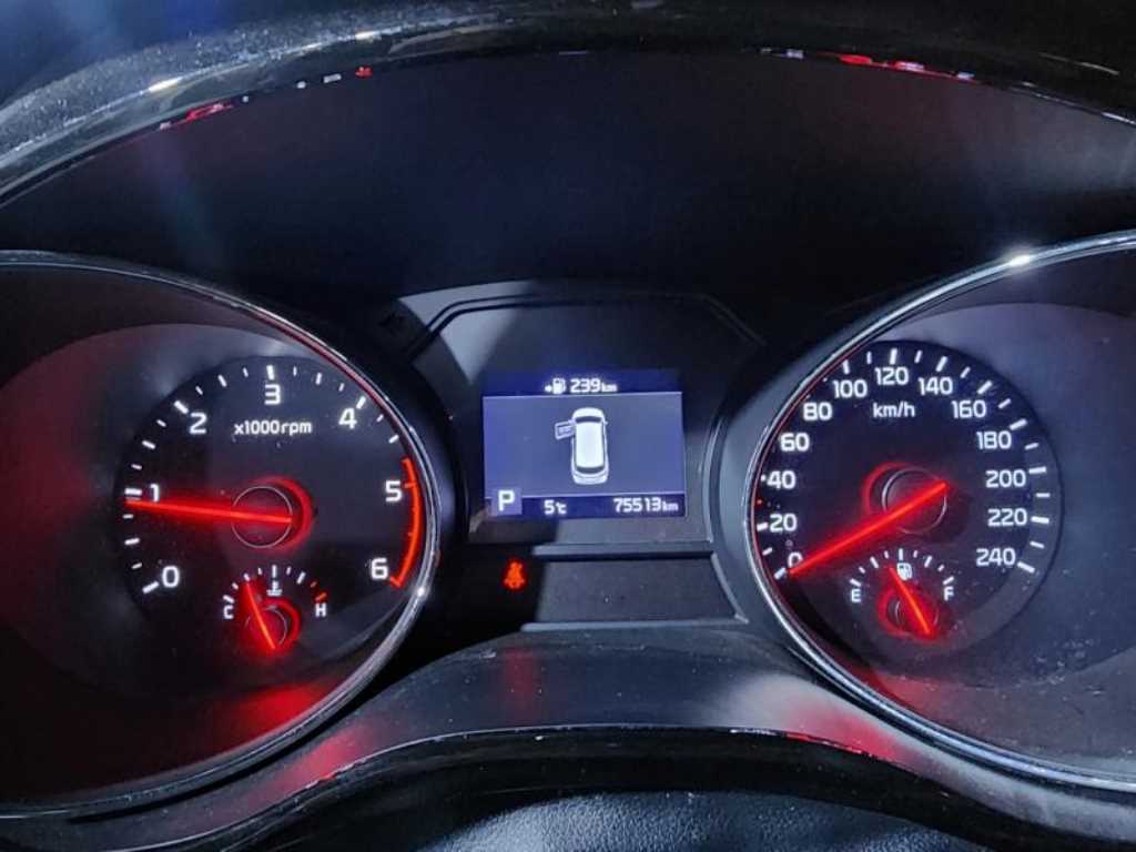 KIA Carnival - Vista 12