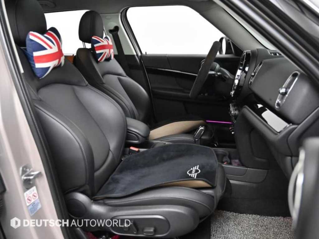 Mini Countryman - Vista 10