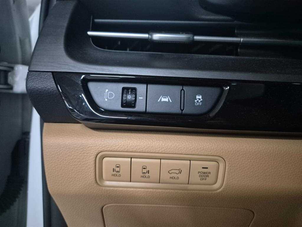 KIA Carnival - Vista 8