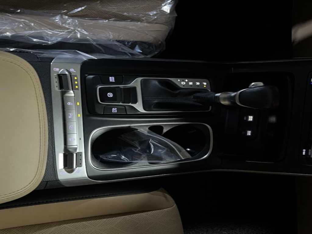 KIA Carnival - Vista 9