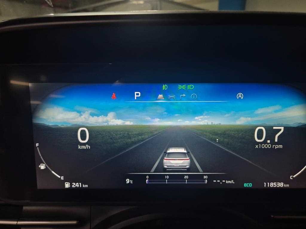 KIA Carnival - Vista 4