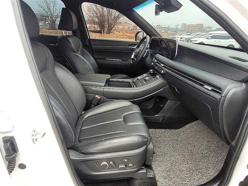 HYUNDAI Palisade - Vista 11