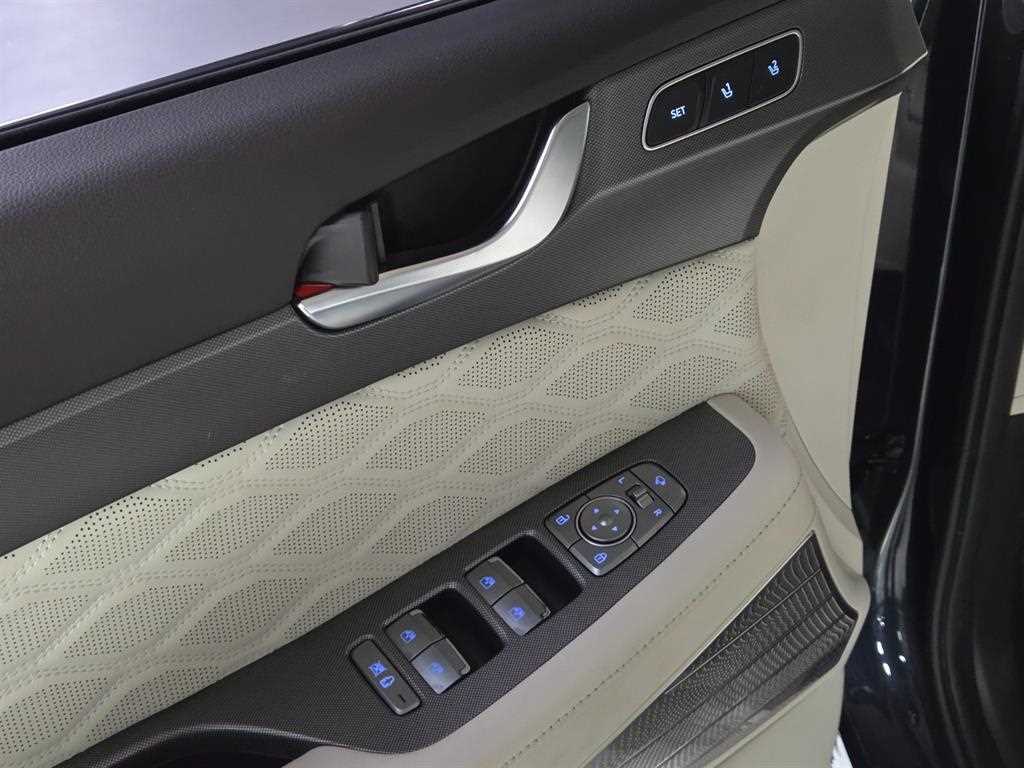 HYUNDAI Palisade - Vista 11