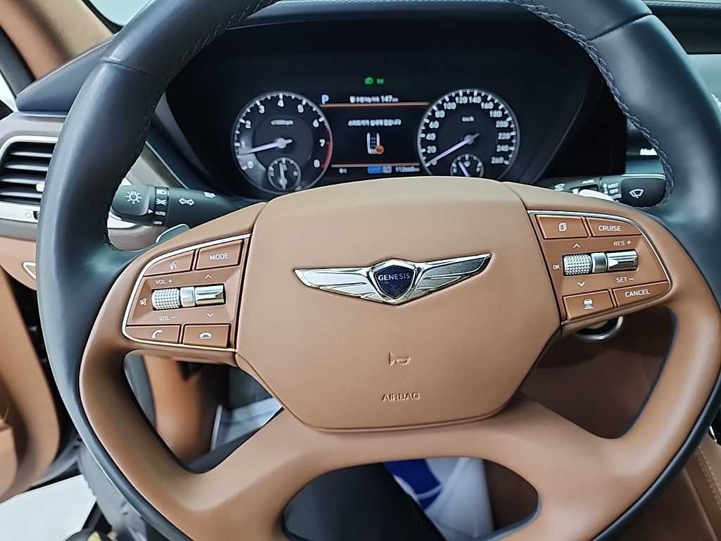 Genesis G90 - Vista 9