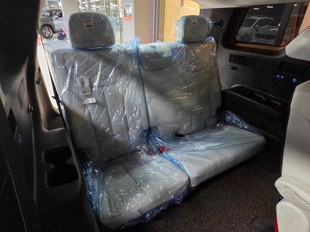 HYUNDAI Palisade - Vista 10