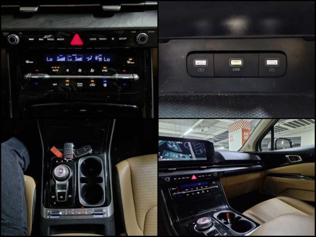 KIA Carnival - Vista 12