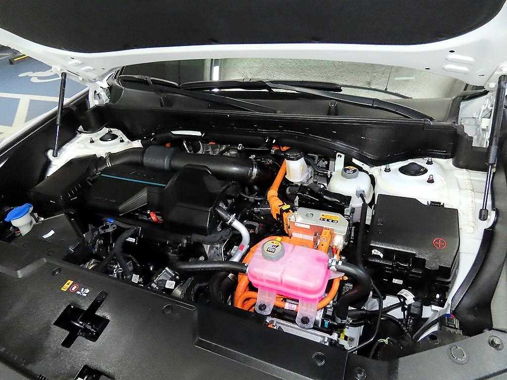 HYUNDAI Santa Fe 2024 Blanco - Importación desde Corea - HF Imports Iquique - Foto 19