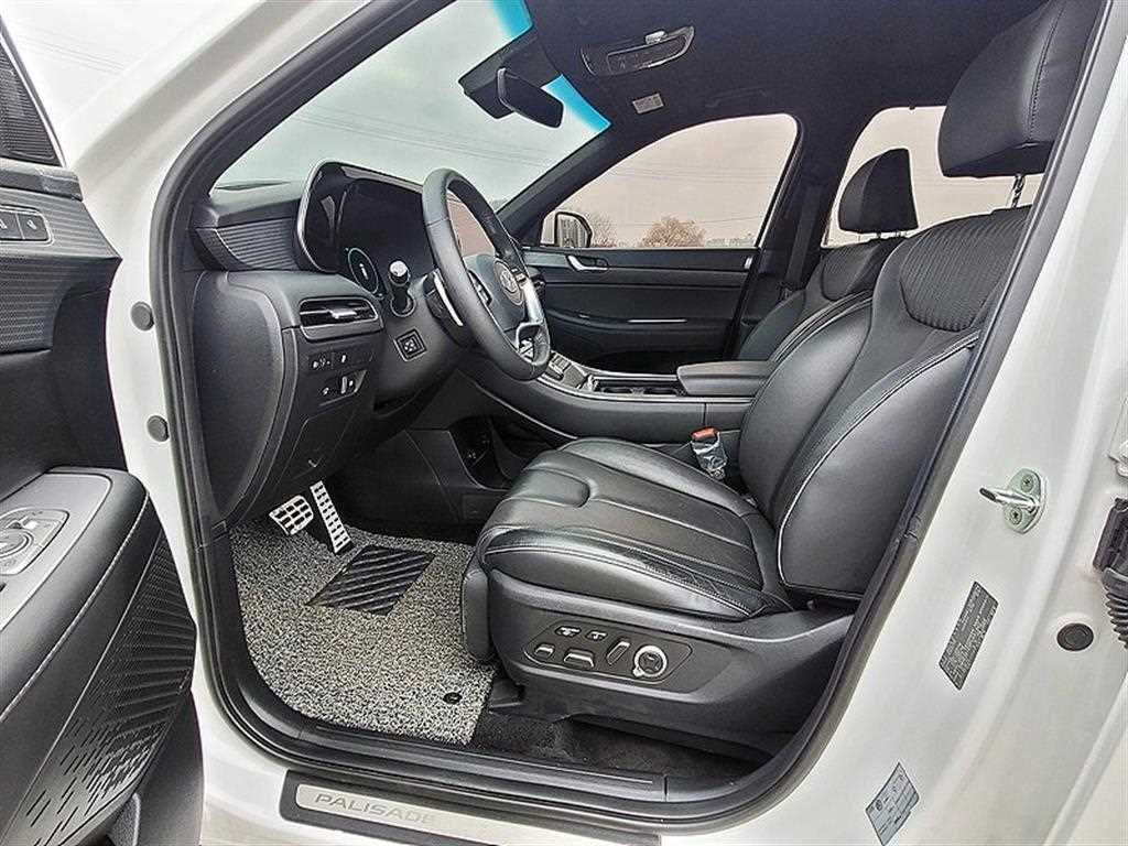 HYUNDAI Palisade - Vista 8
