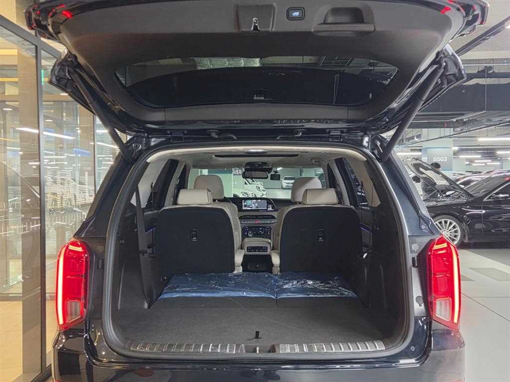 HYUNDAI Palisade - Vista 6