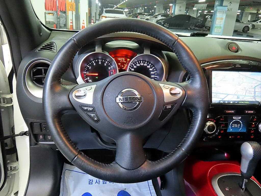 Nissan Juke - Vista 8