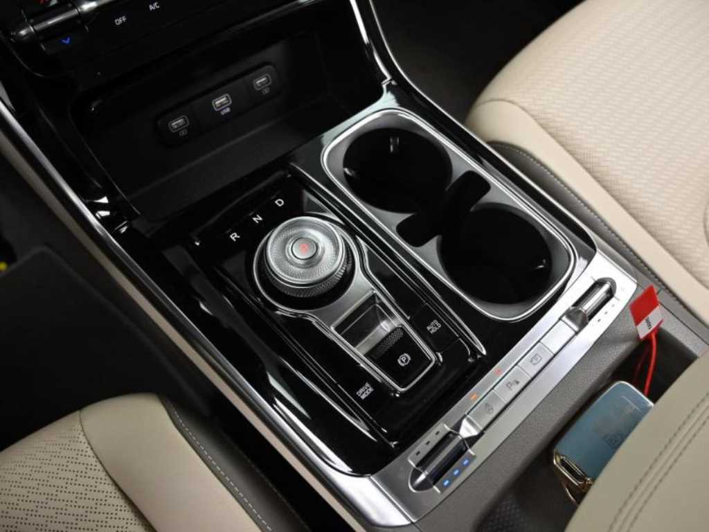 KIA Carnival - Vista 9