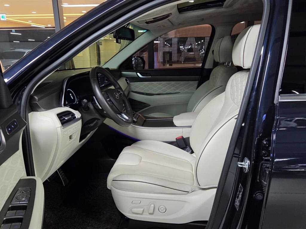 HYUNDAI Palisade - Vista 8
