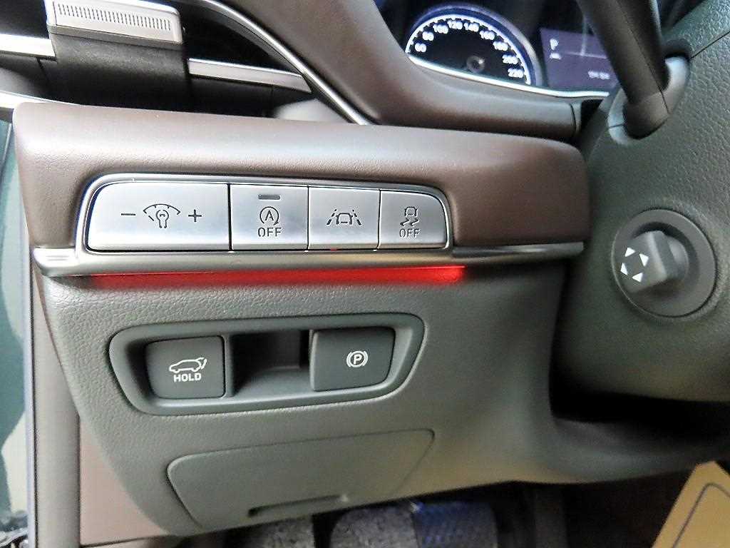 Genesis GV80 - Vista 12