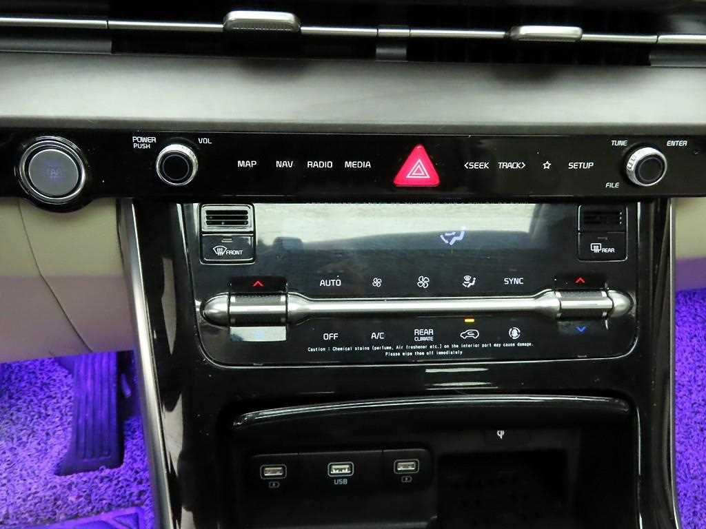 KIA Carnival - Vista 9