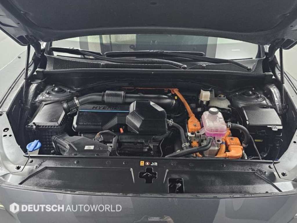 HYUNDAI Santa Fe - Vista 6