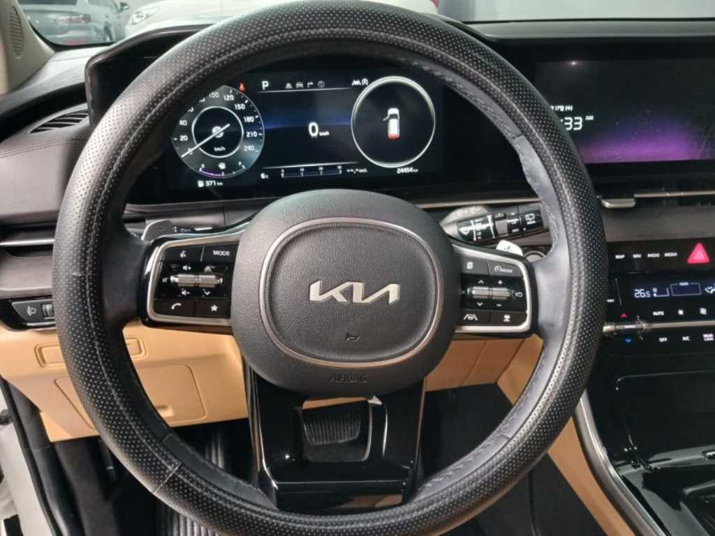 KIA Carnival - Vista 11