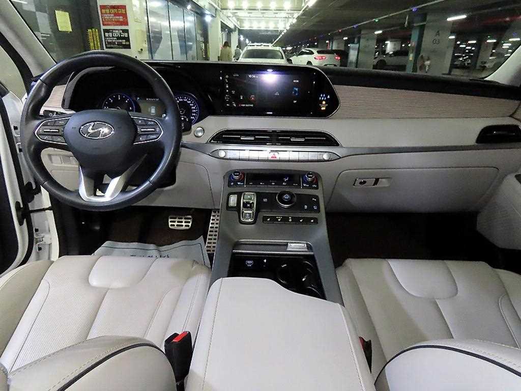 HYUNDAI Palisade - Vista 10