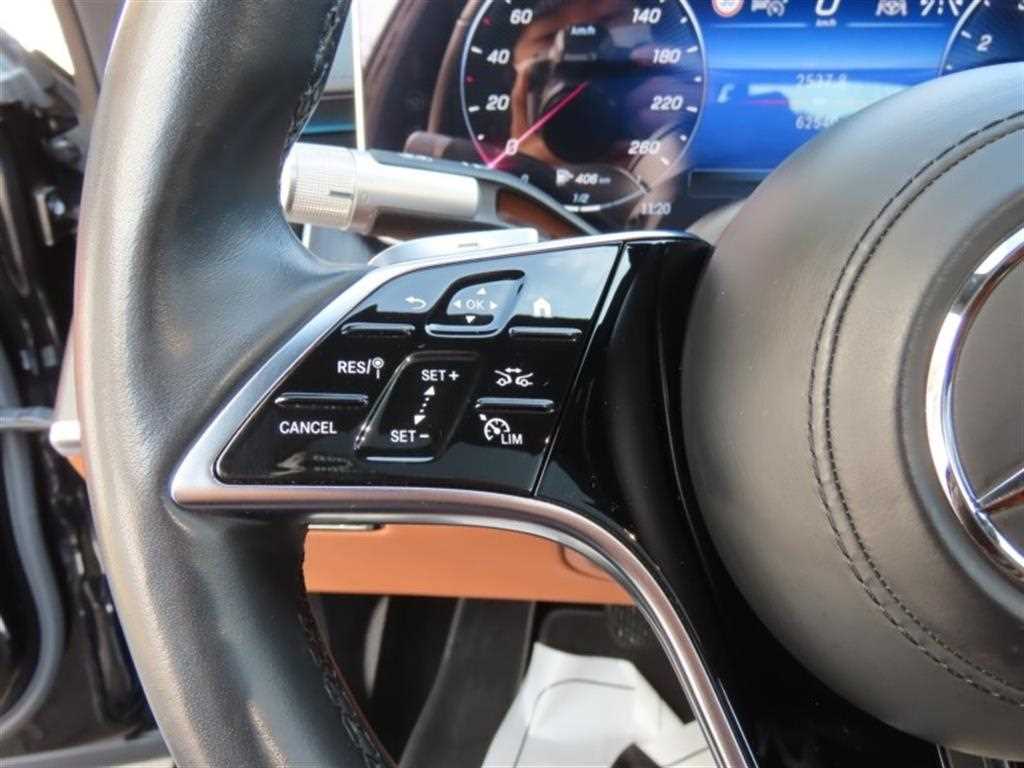 Mercedes Benz S Class - Vista 11