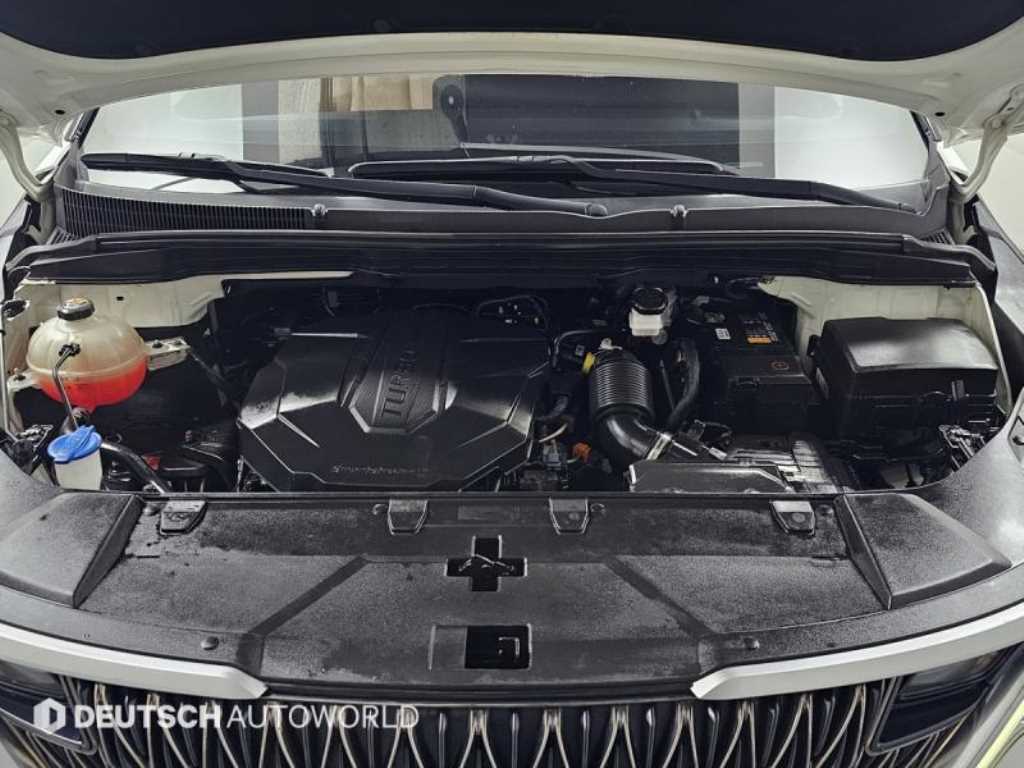 KIA Carnival - Vista 6