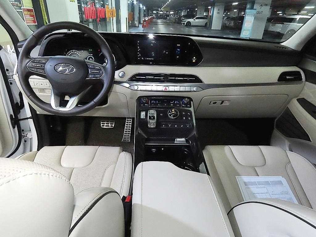 HYUNDAI Palisade - Vista 10