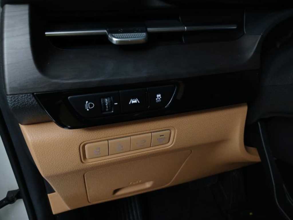 KIA Carnival - Vista 12