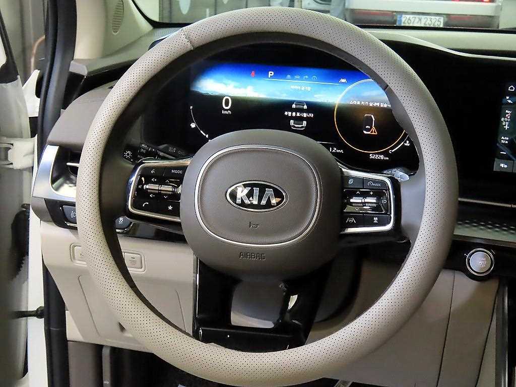 KIA Carnival - Vista 8