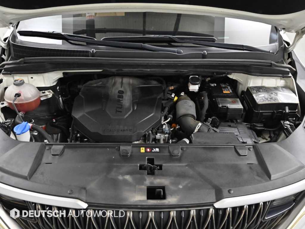 KIA Carnival - Vista 6