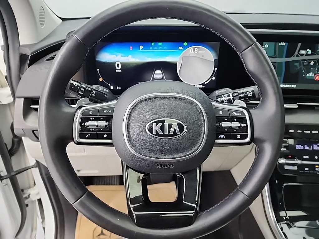 KIA Carnival - Vista 9