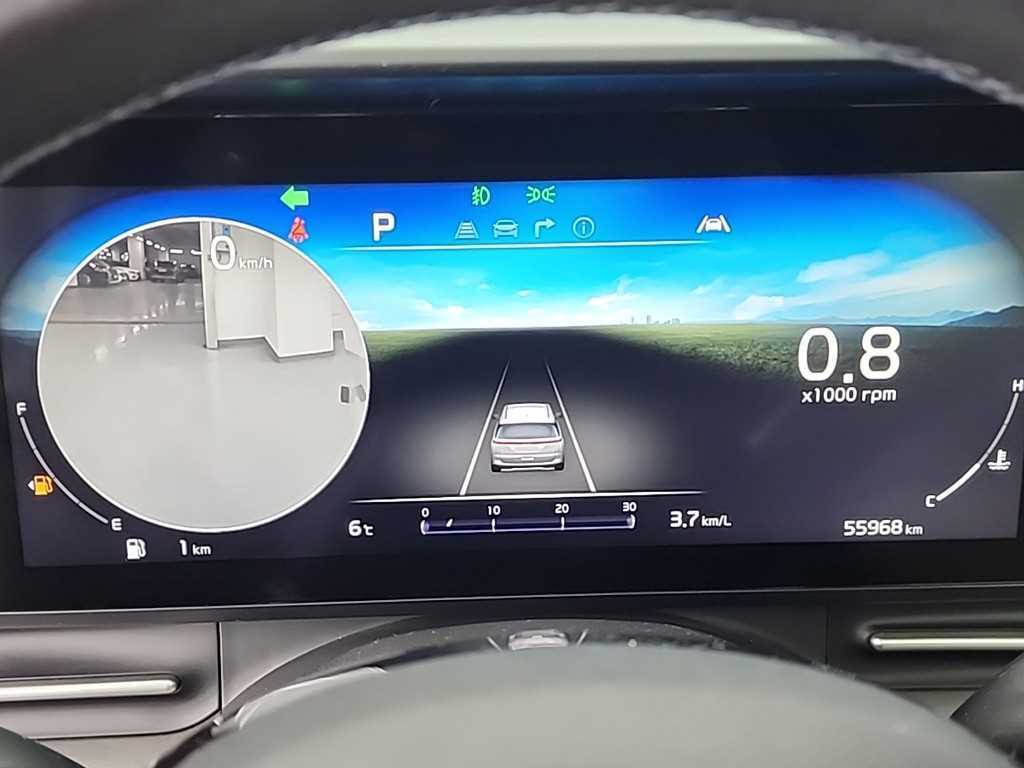 KIA Carnival - Vista 6