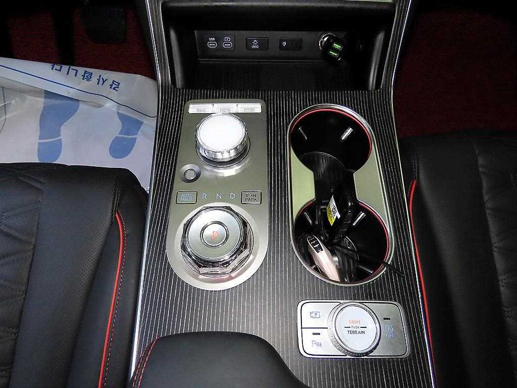 Genesis GV80 - Vista 12