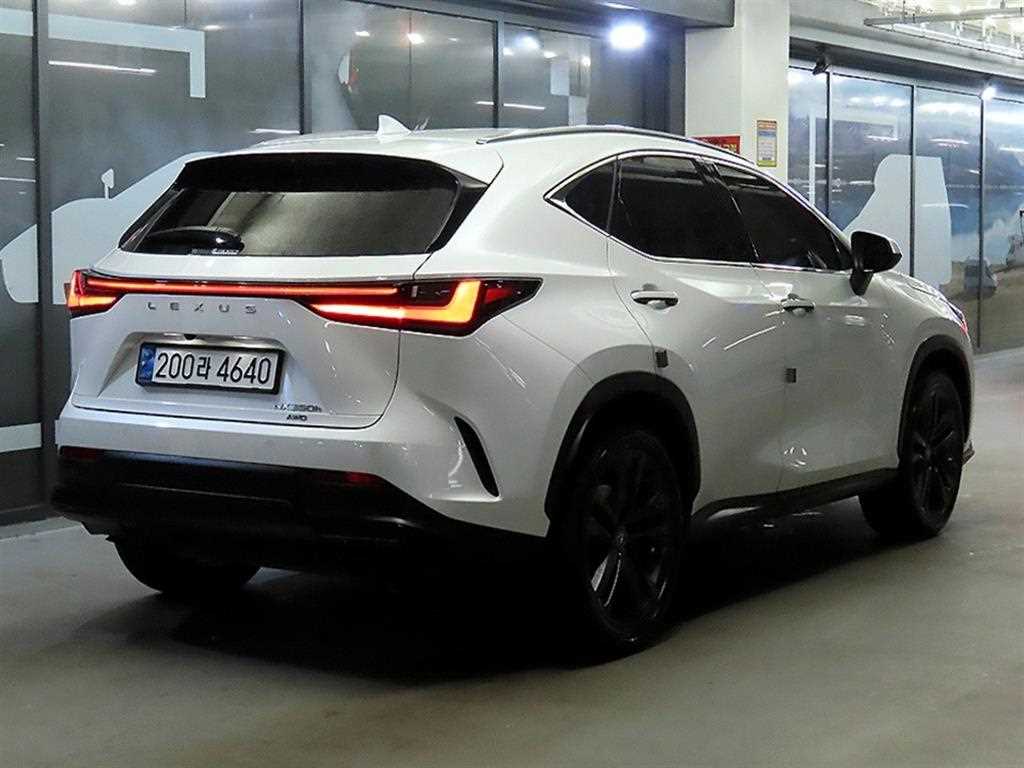 Lexus NX - Vista 4