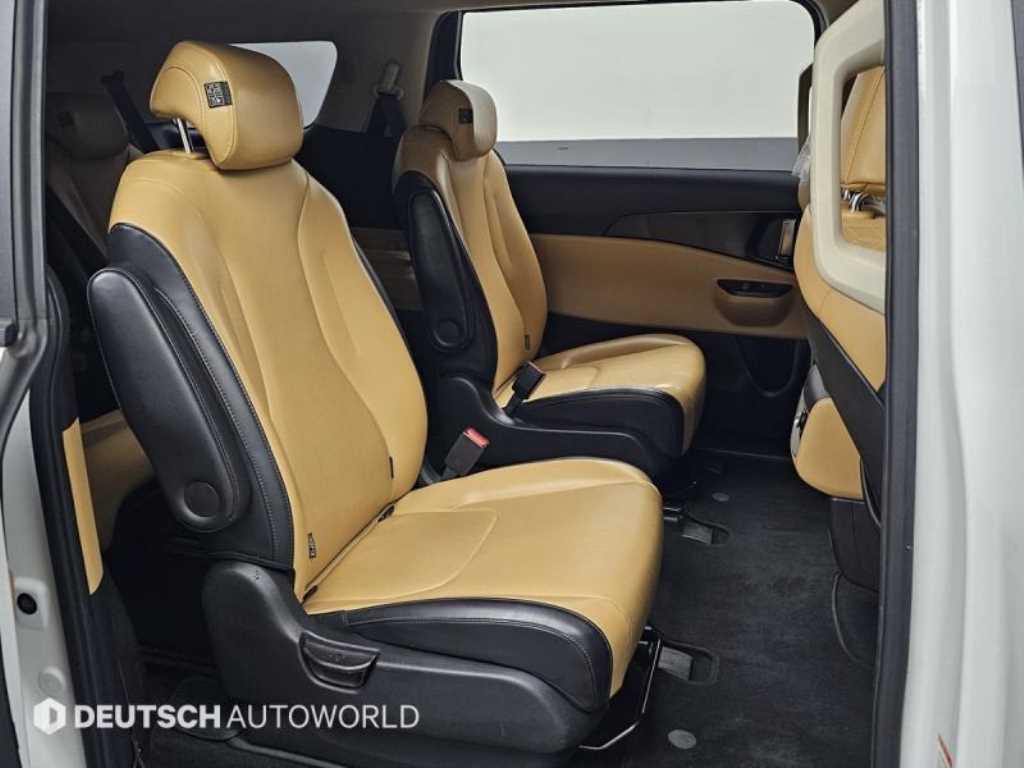 KIA Carnival - Vista 12