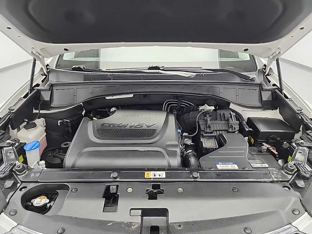 HYUNDAI Maxcruz - Vista 5