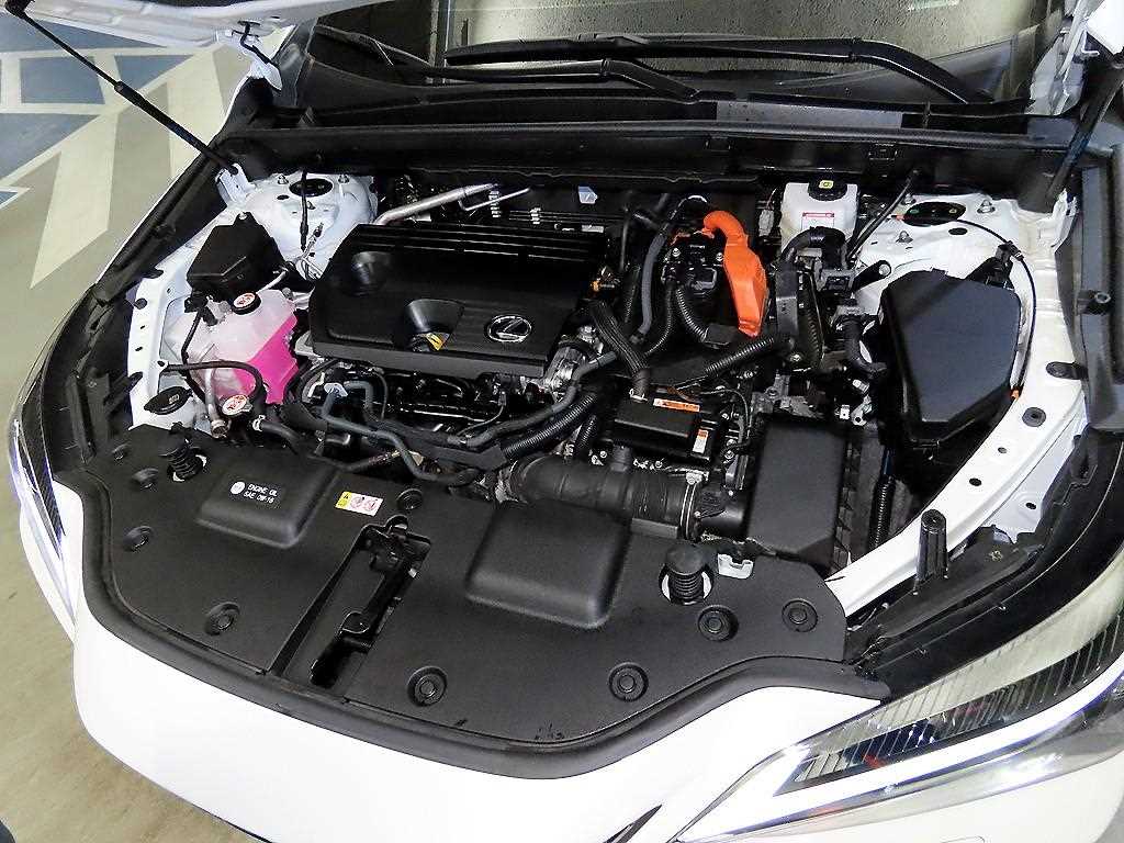 Lexus NX 2025 Blanco - Importación desde Corea - HF Imports Iquique - Foto 19