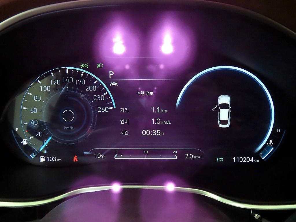 Genesis G80 - Vista 9