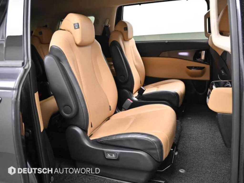 KIA Carnival - Vista 12